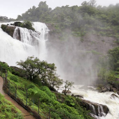 Coorg, Karnataka, India-July 19 2023; A Bewitching Mallalli Waterfall flows majestically in the rain forests of the Coorg hill station in Karnataka,India.