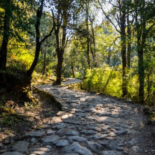 Tiffin Top is the name assigned after people used to have day lunch at top of hill on Dorothy's Seat. From Tiffin Top visitors can witness birds eye view of beautiful Nainital city and nearby Kumaon hills. As Tiffin Top is at 4 kms from Nainital town, many tourists also enjoy the easy hike to Tiffin Top or sometimes ride on the ponies, which easily available from Mall Road.