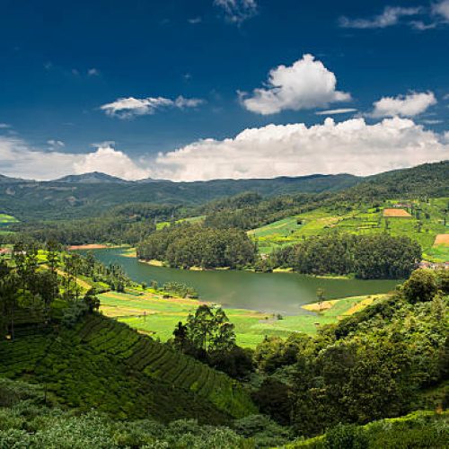 Tea plantations around the Emerald Lake in Ooty. Beautiful clouds formed over the Emerald Lake. Ooty or Ootacamund (Udamandalam) is a popular hill station in Tamil Nadu.