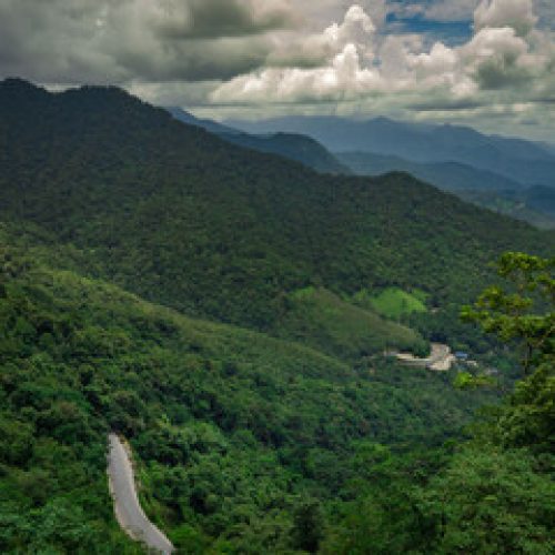 wayanad